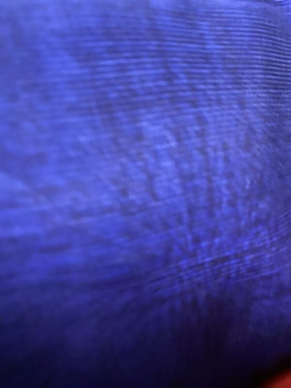 Cuscino Rettangolare Blu Elettrico Cotone 45x67 cm - immagine 2