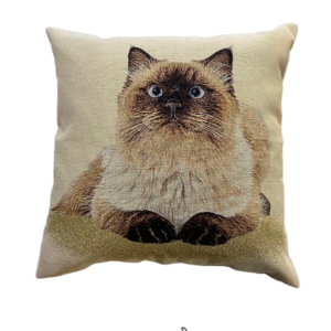 Cuscino  in Gobbelin  Gatto  50x50 cm